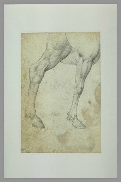 Etude de deux jambes de cheval