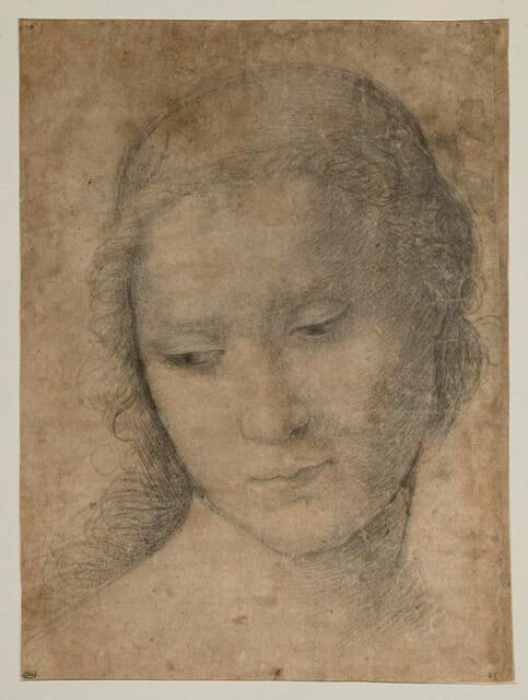 La tête de la Vierge, les yeux baissés