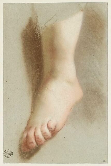 Etude d'un pied nu