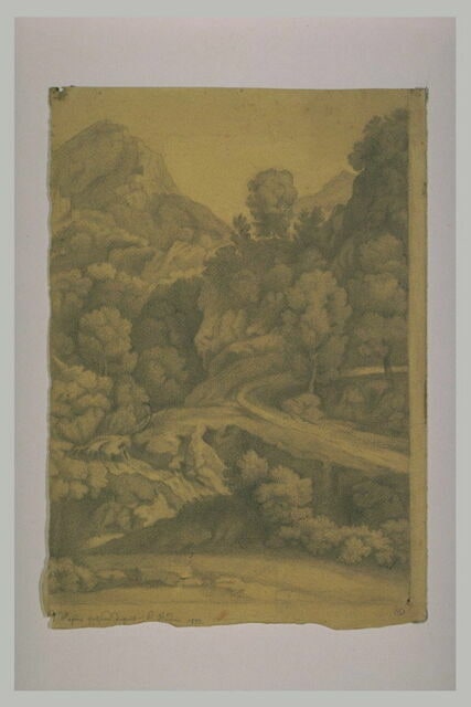Paysage de montagnes boisé
