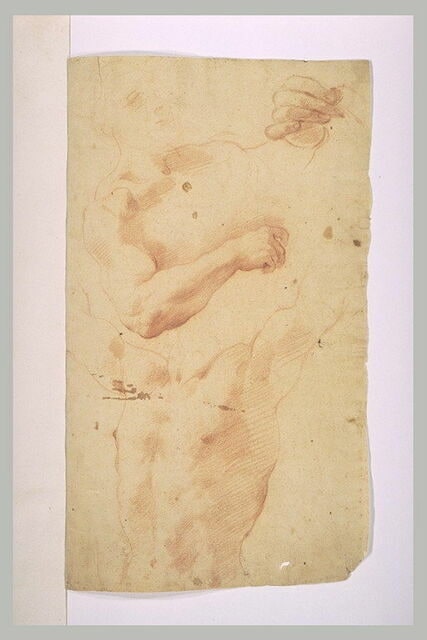 Etude de deux bustes d'hommes