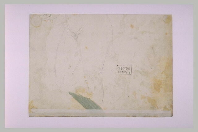 Hanches d'une femme nue