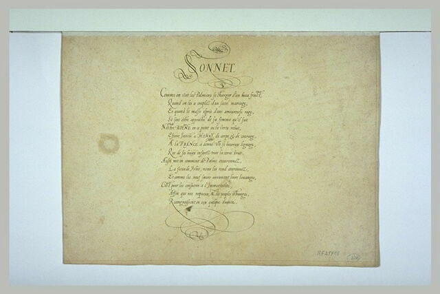 Sonnet