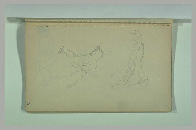 Figure et poules