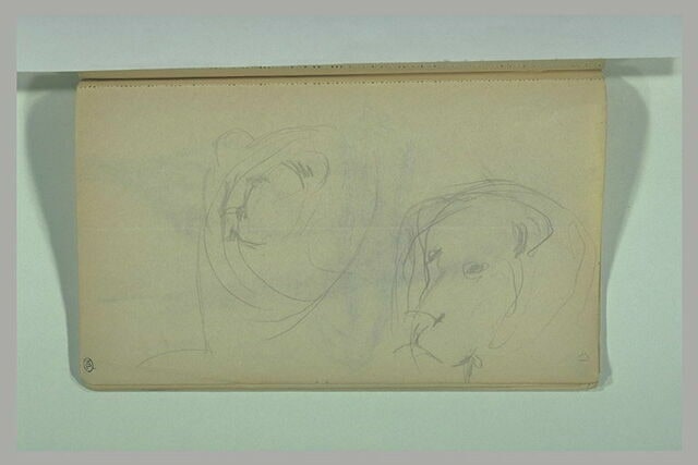 Deux têtes de lions