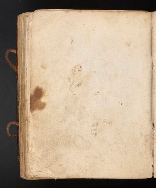 Visage de profil vers la gauche ; esquisse de feuillage