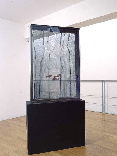 Aquarium
