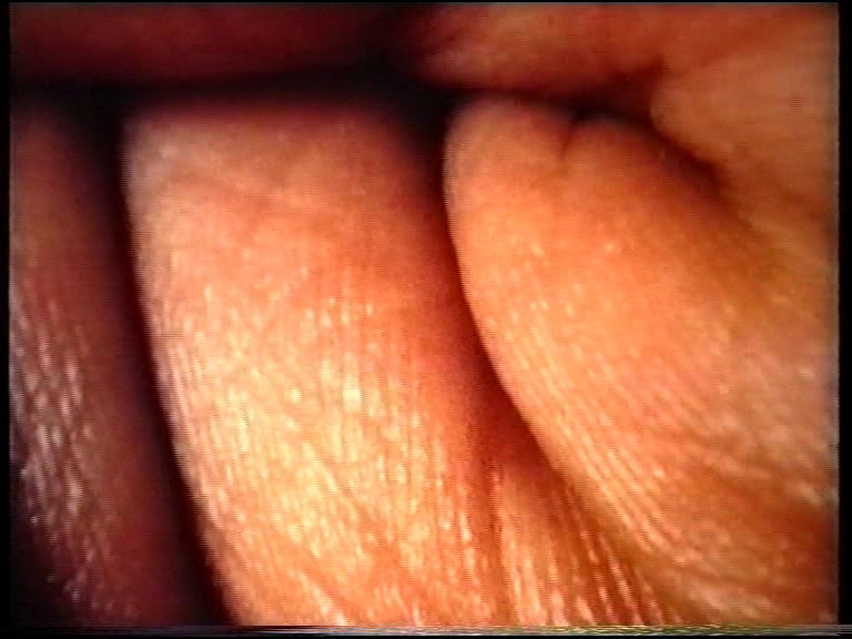 The Hand