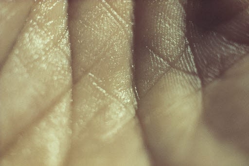 The left hand