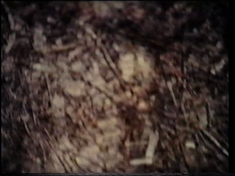 Ground