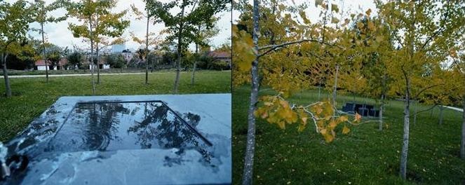 For a New City (Serralves Museum & a Working Farm)