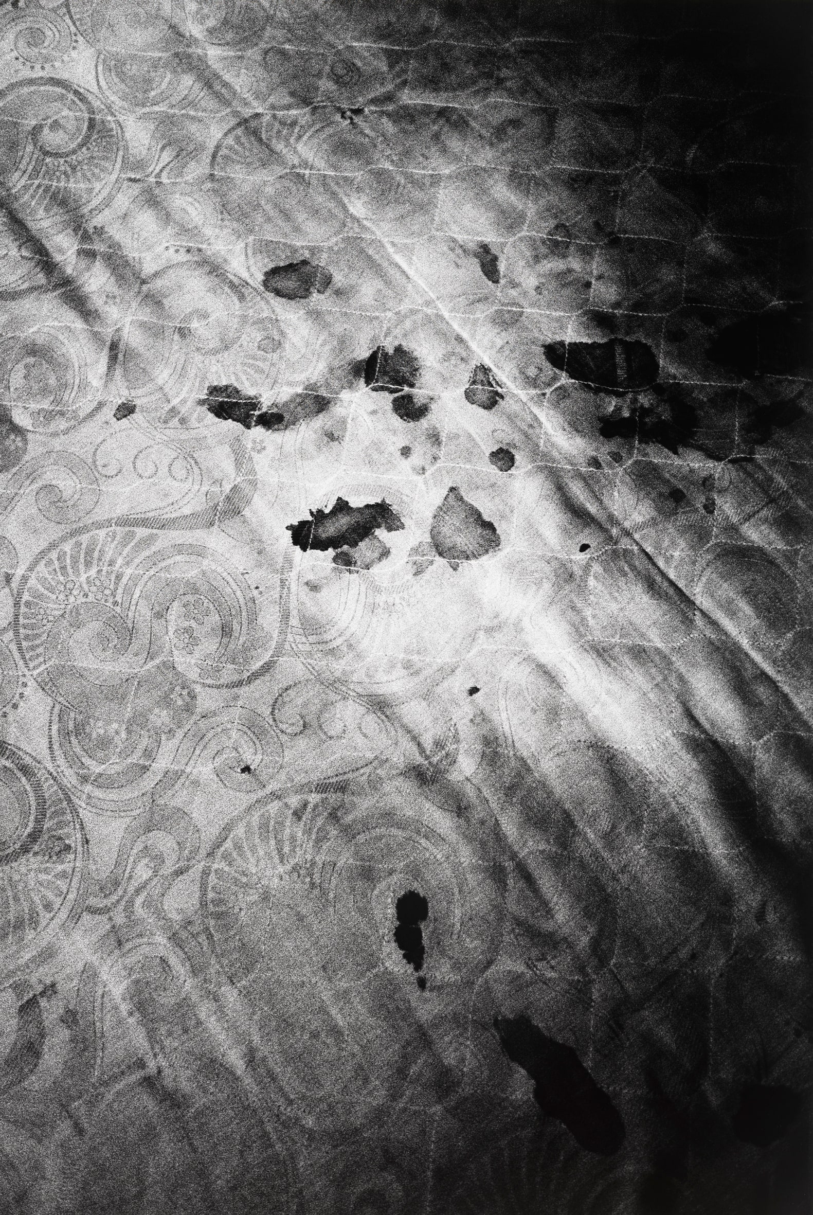 Bloodstains, Paris