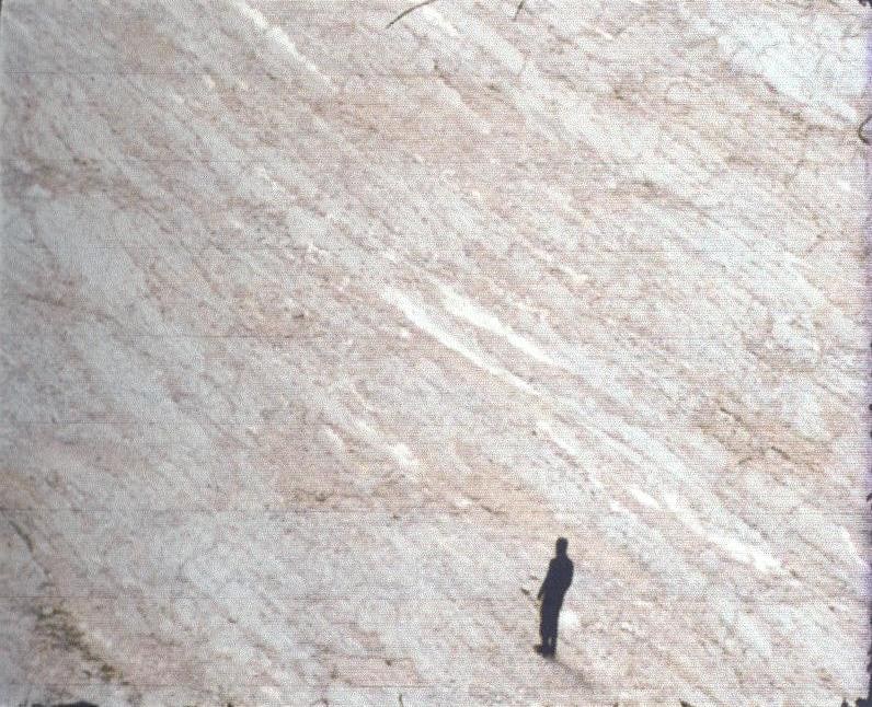 The Unparticulated Man