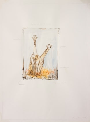 Peigner la girafe