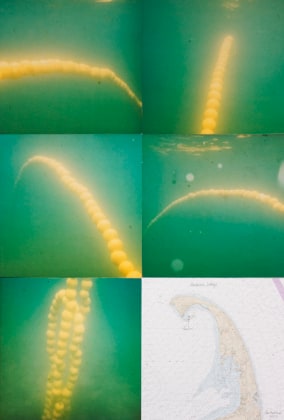 Undersea Oranges