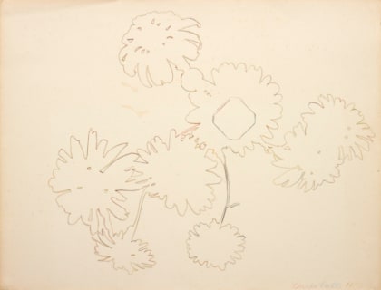 Shadows Around a Centre (Marigolds)