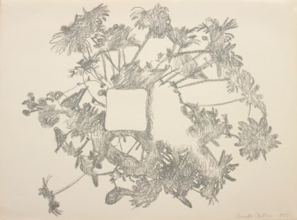 Shadows Around a Centre (Marigolds)