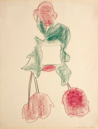 Shadows Around a Centre (Tulips III)