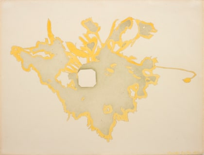 Shadows Around a Centre (Dried daffodils)