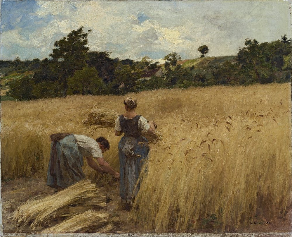 Картина. Жницы