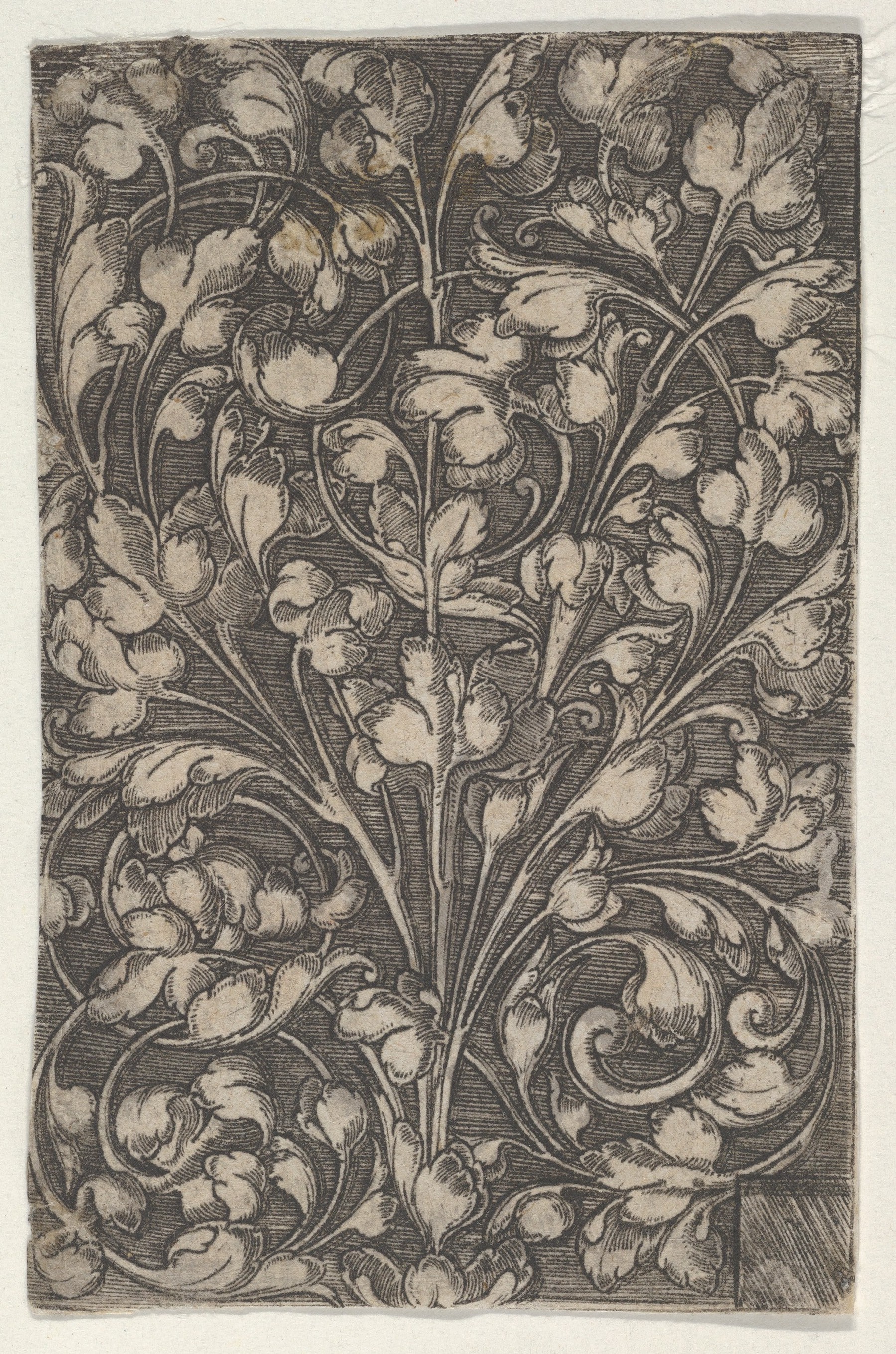 Vertical Panel with Scrolling Tendrils Rising from Center