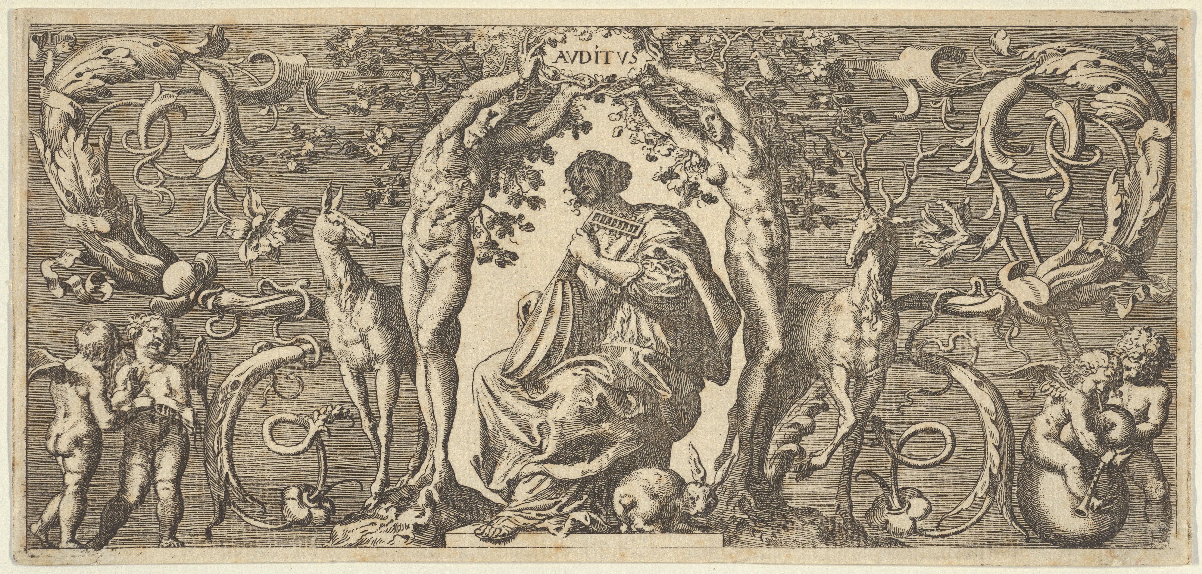 Hearing (Auditus), from Quinque Sensuum