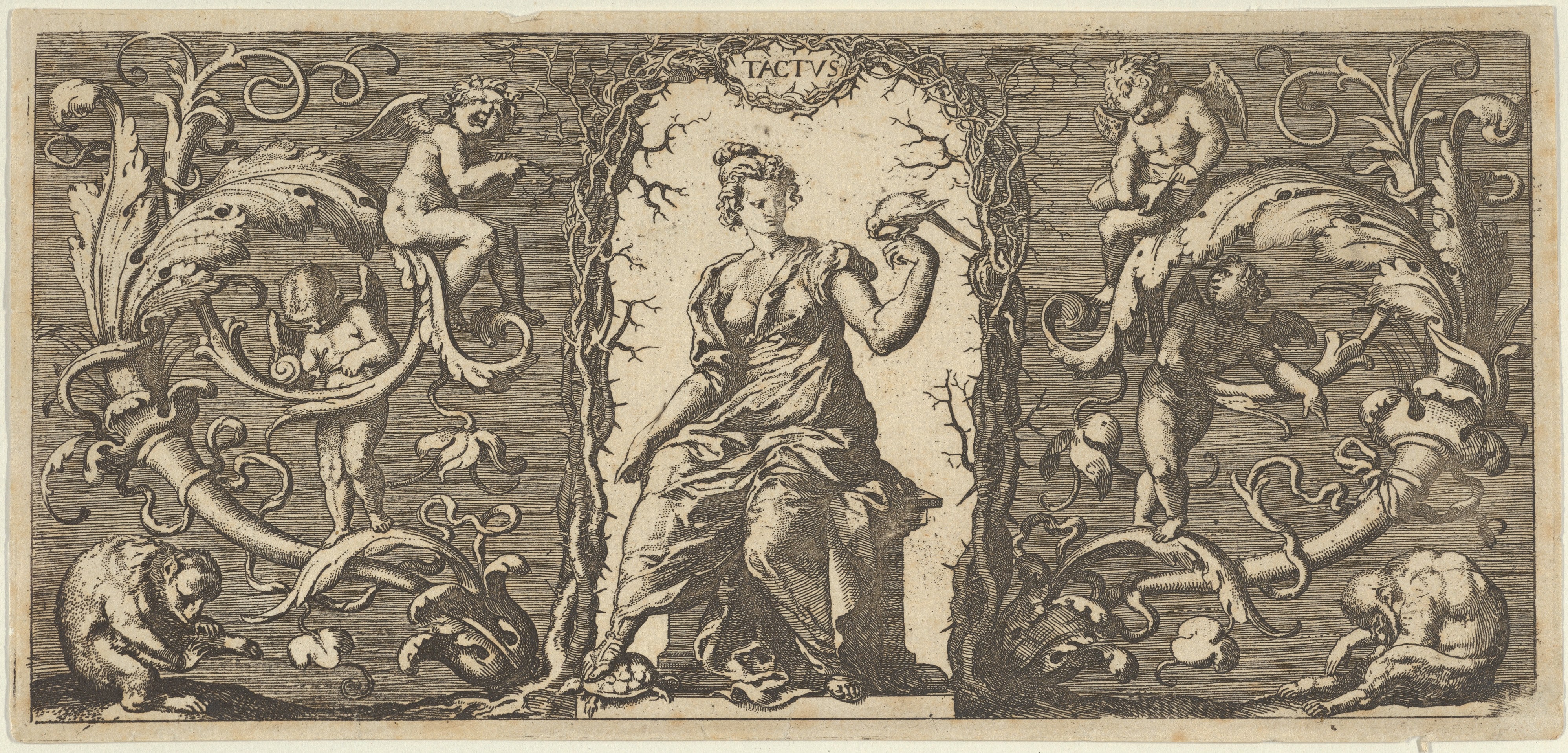Touch (Tactus), from Quinque Sensuum