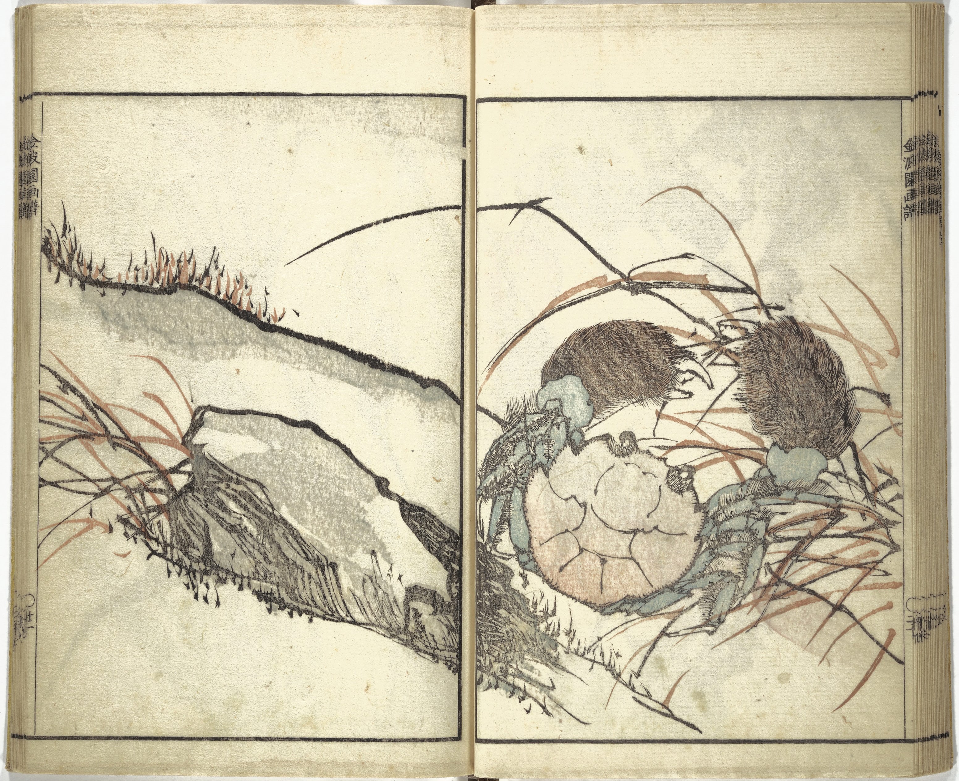 金波園画譜|Kinpaen (Bunpō) Picture Album (Kinpaen gafu 金波園画譜)