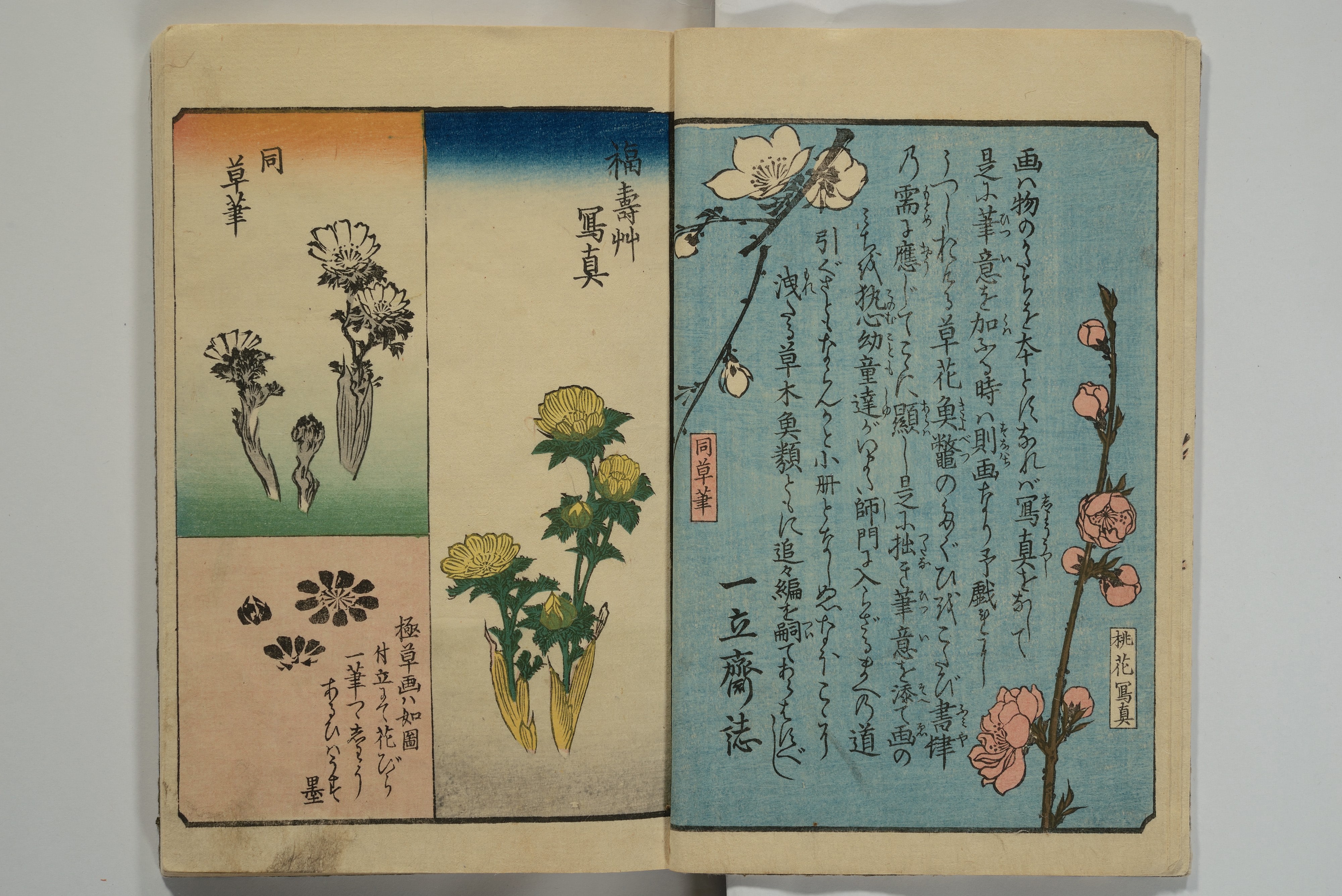 絵本手引草|Picture Book for the Practice of Drawing (Ehon tebikigusa 絵本手引草)