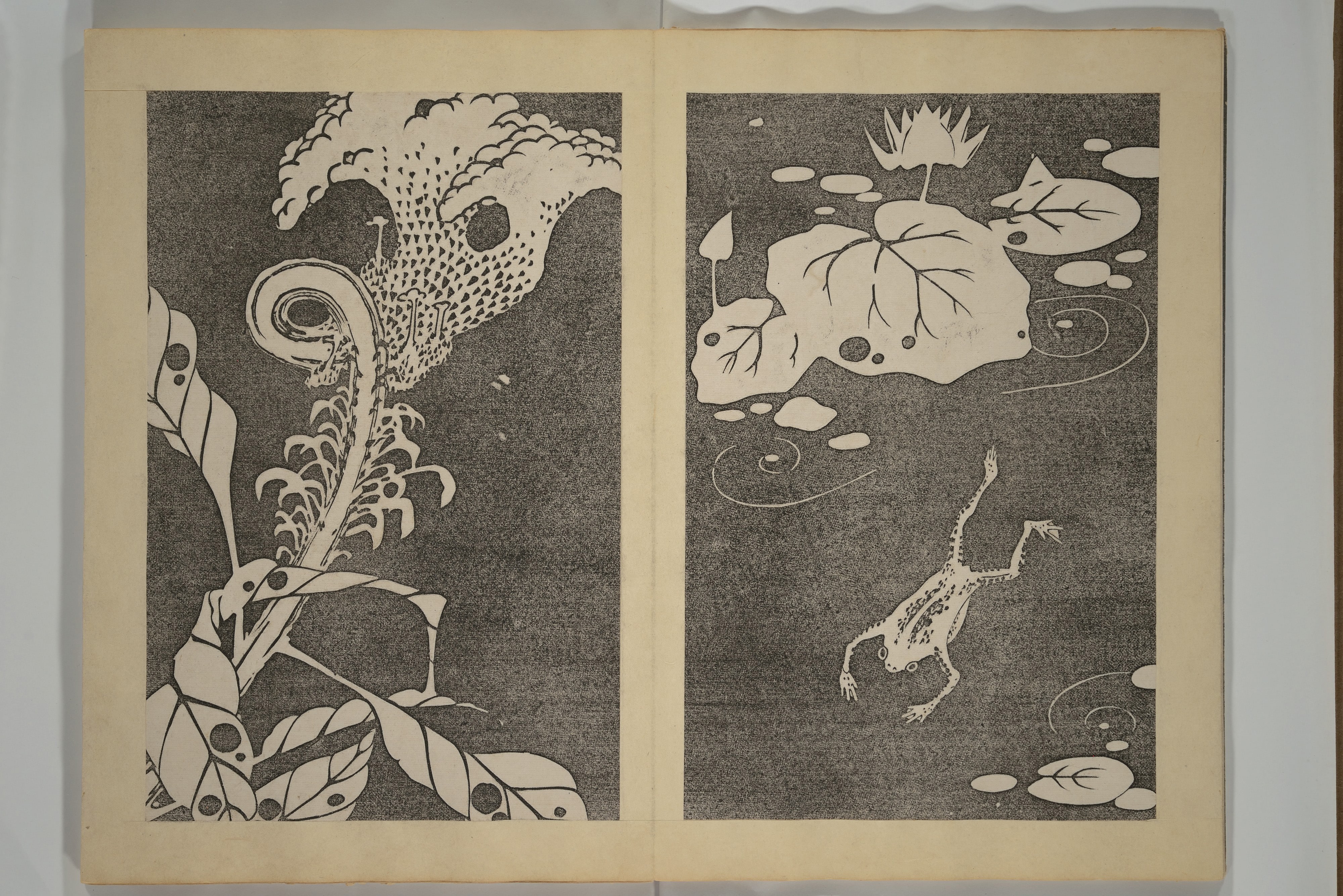 若冲画帖|Jakuchū Picture Album (Jakuchū gajō} 若冲画帖