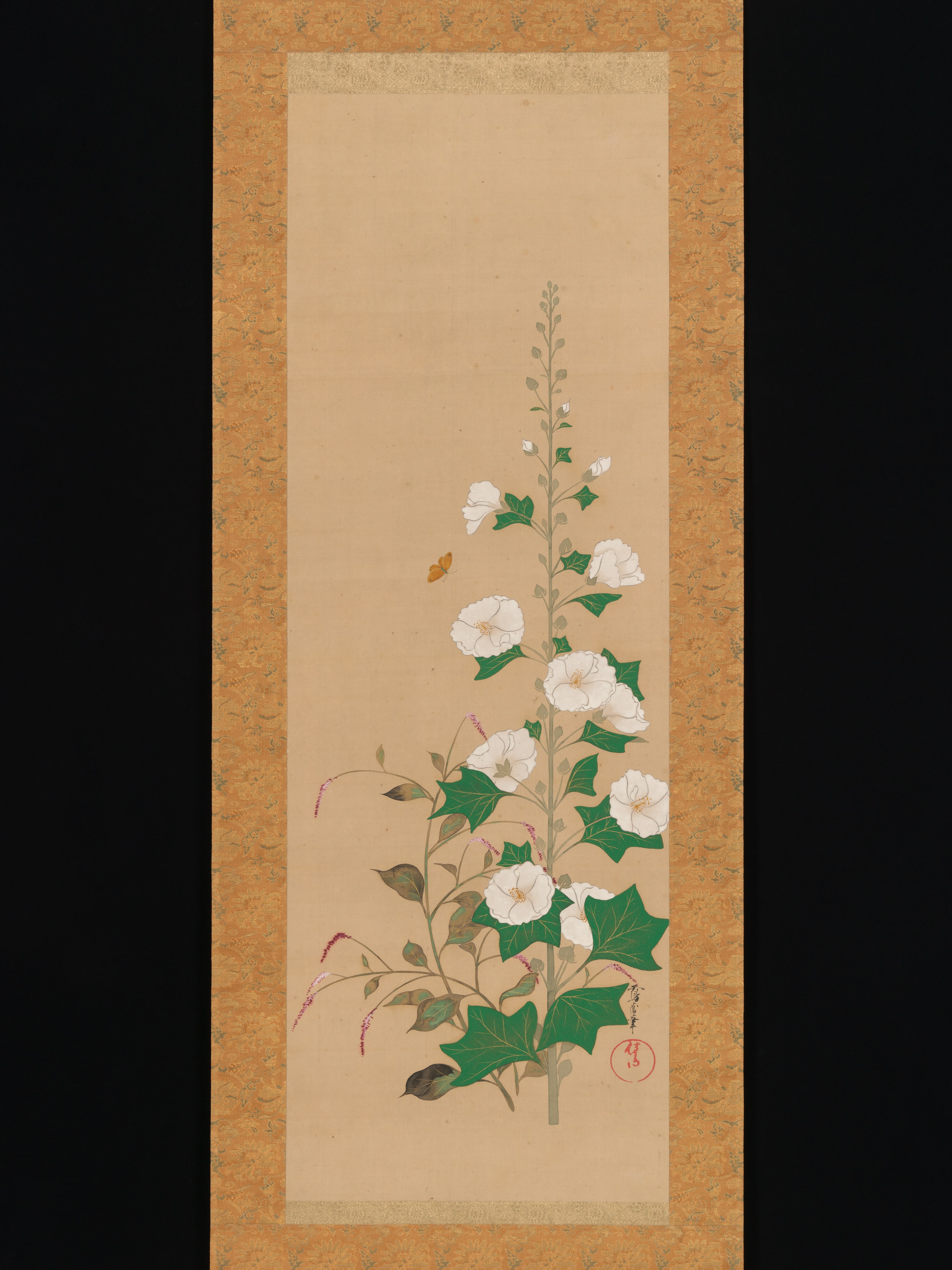 酒井鶯浦筆 立葵とカタデ図|Hollyhocks and Prince’s-Feather Flowers