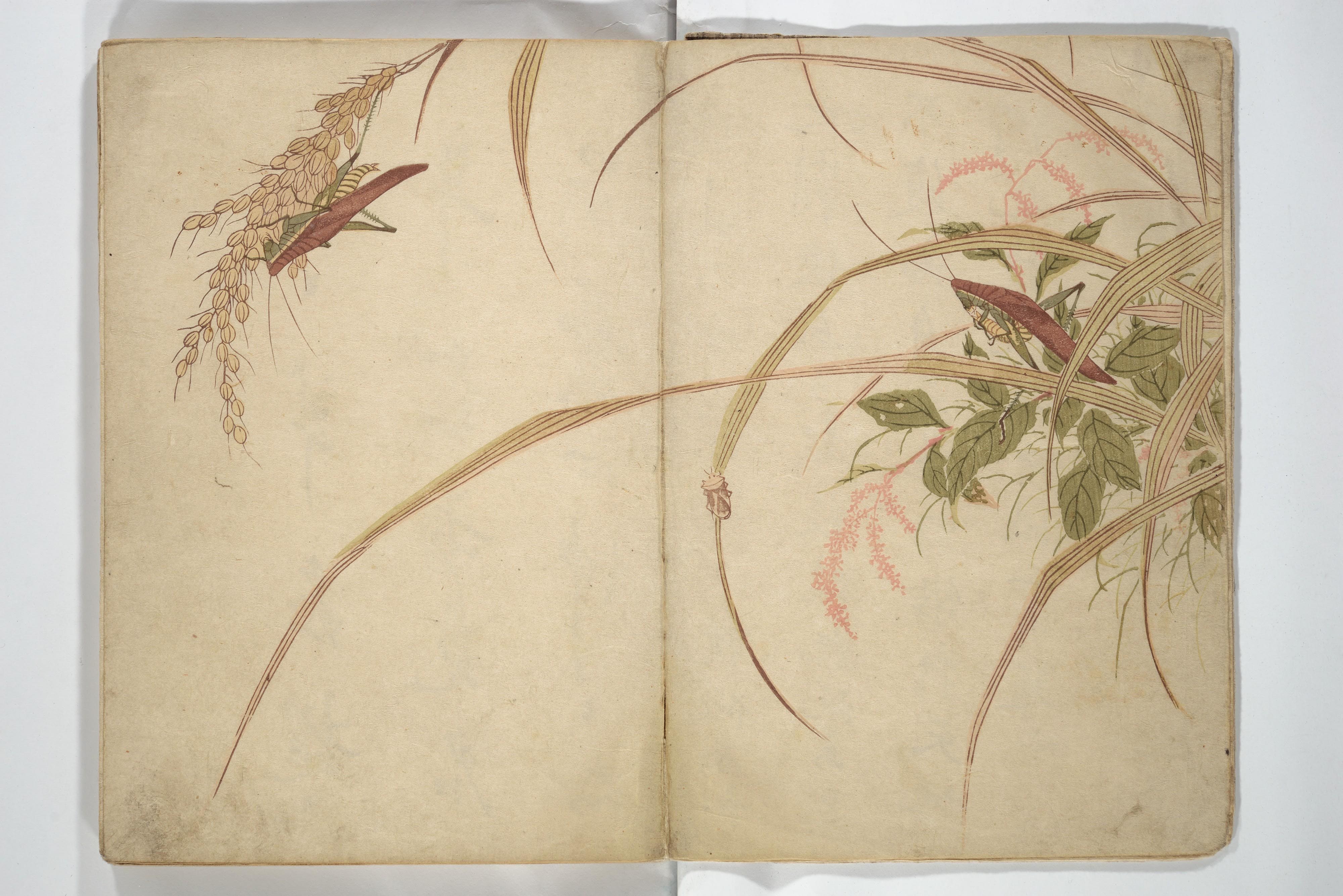 森春渓画　『春渓画譜』|Shunkei Picture Album (Shunkei gafu) 春渓画譜