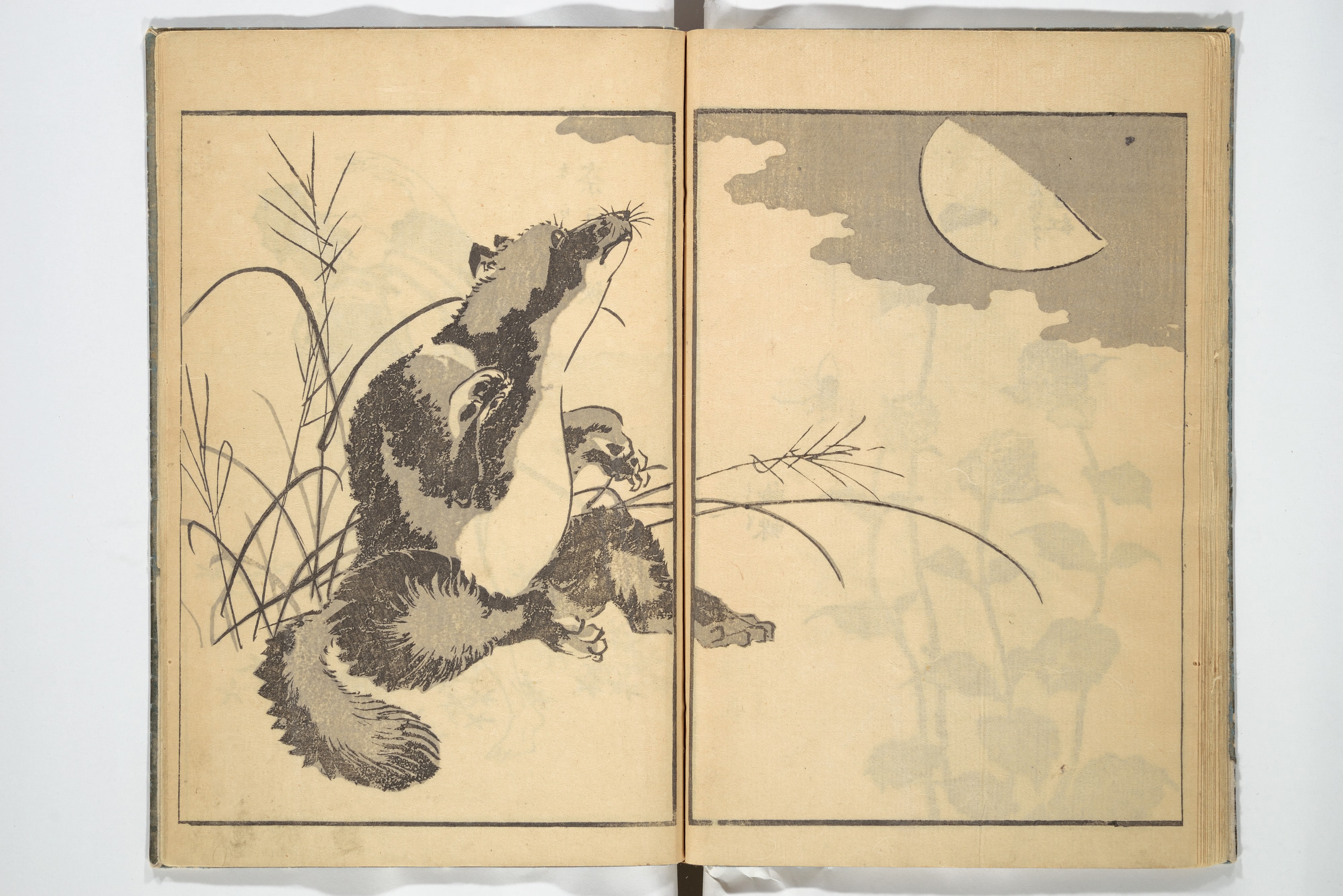 葛飾北斎画  『卍翁艸筆画譜』|Old Manji’s Cursive Picture Album (Manji-ō sōhitsu gafu) 卍翁艸筆画譜