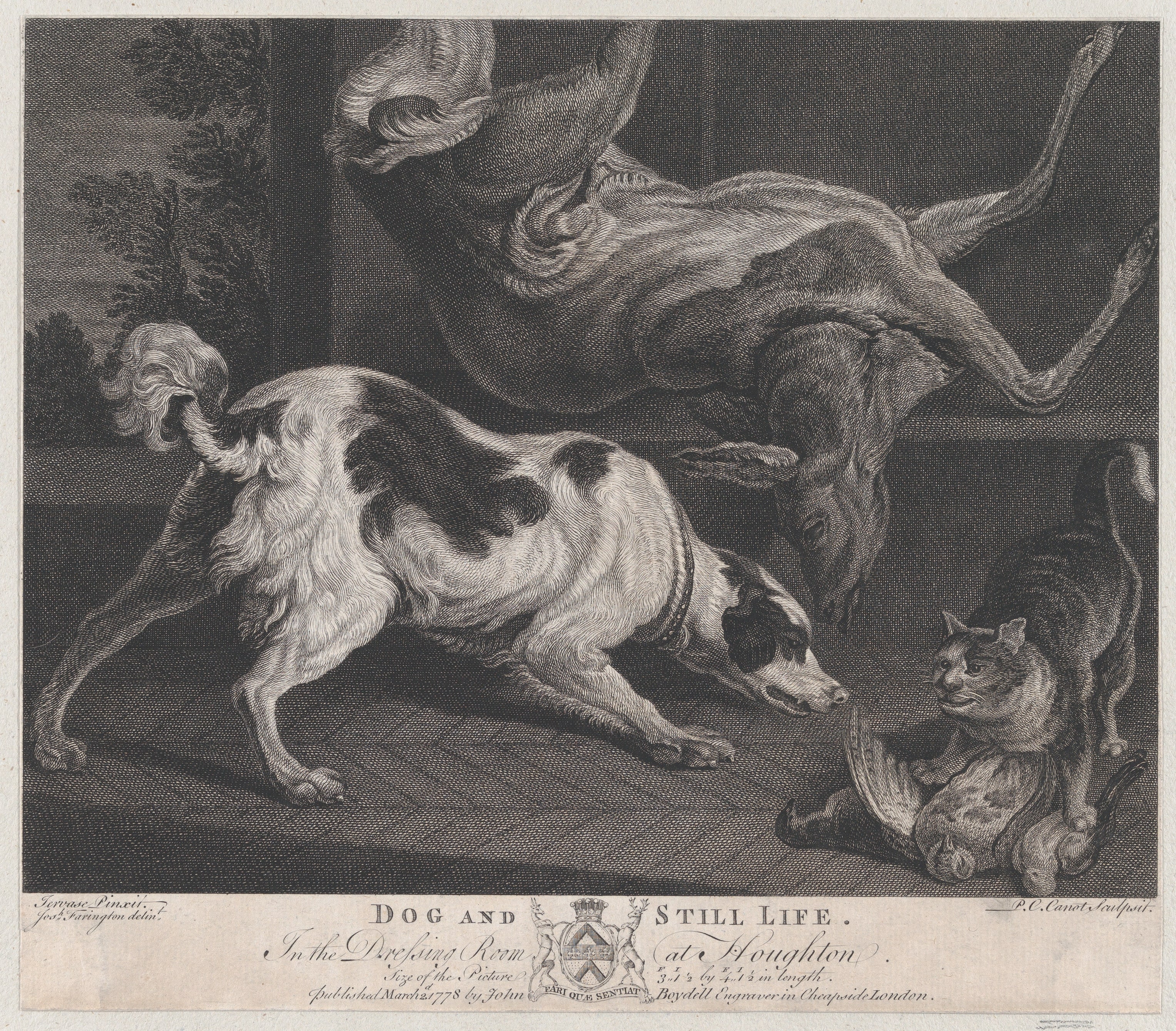 Dogs and Still Life