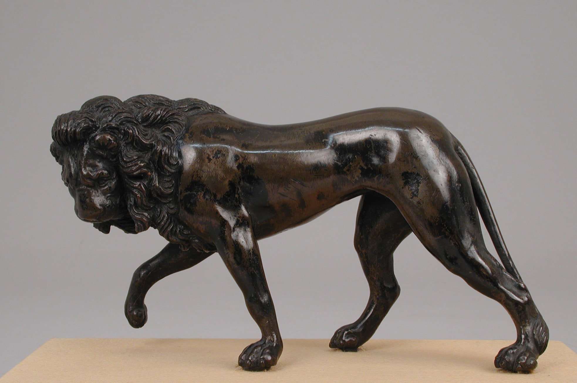 Walking Lion
