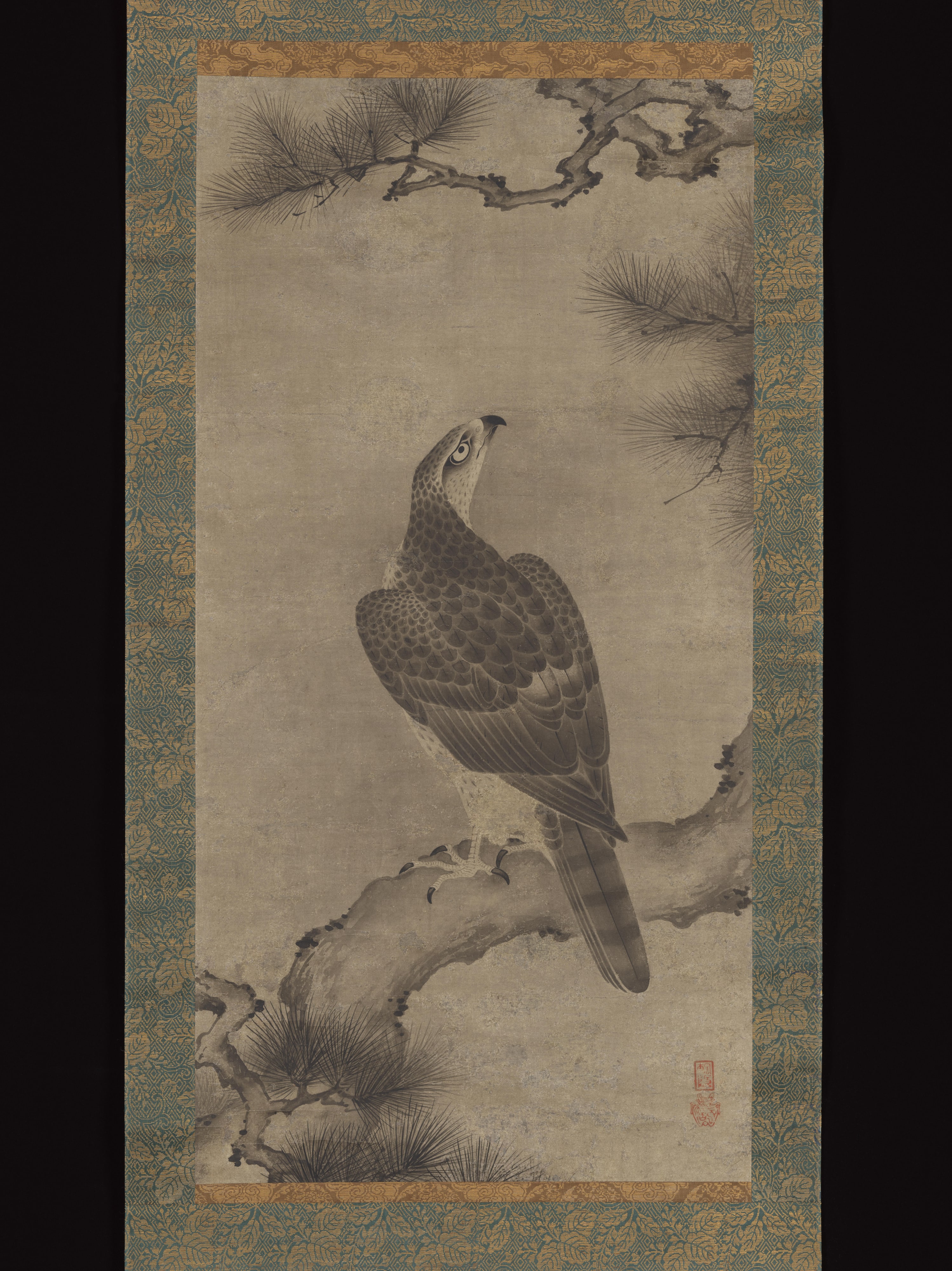 狩野之信筆　松鷹図|Hawk on a Pine
