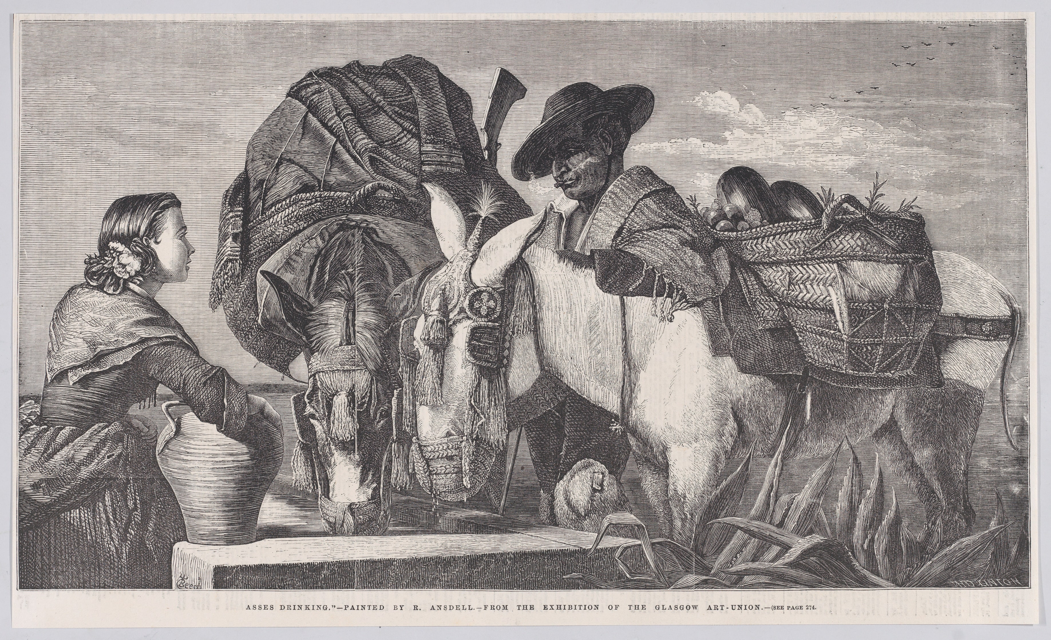 Asses Drinking, from "Illustrated London News"