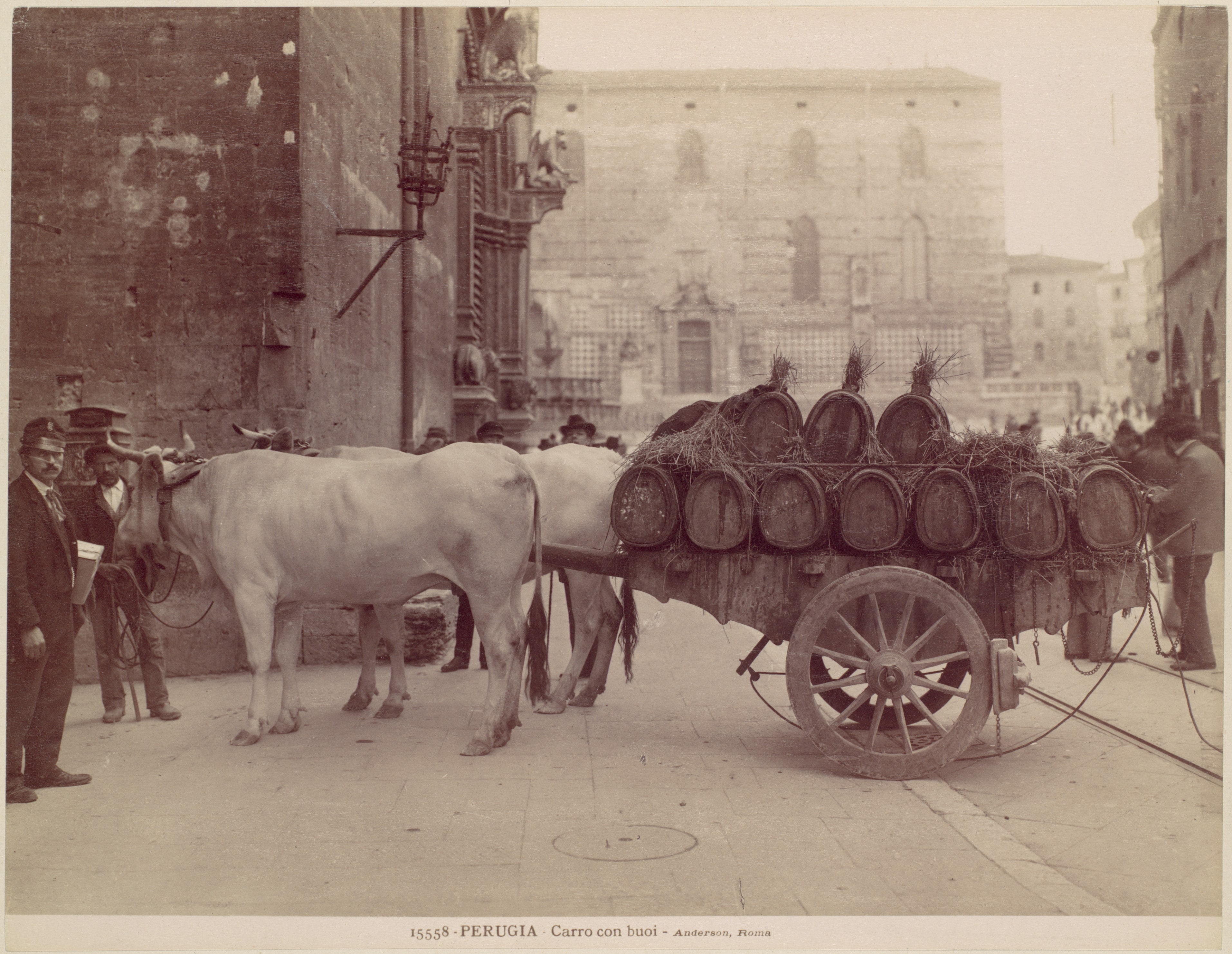 Carro con buoi, Perugia