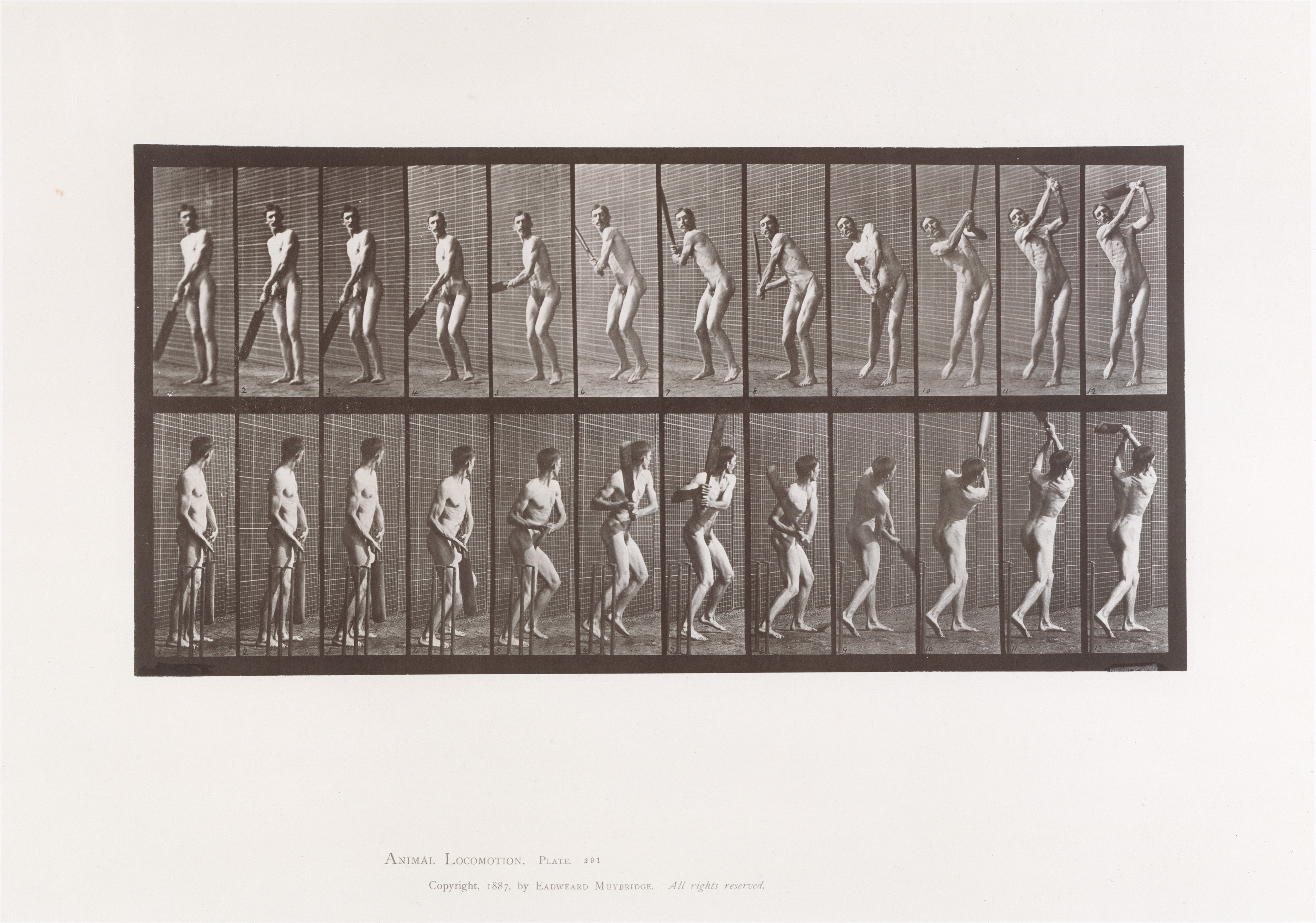 Animal Locomotion.  An Electro-Photographic Investigation of Consecutive Phases of Animal Movements.  Commenced 1872 - Completed 1885.  Volume II, Men (Nude)