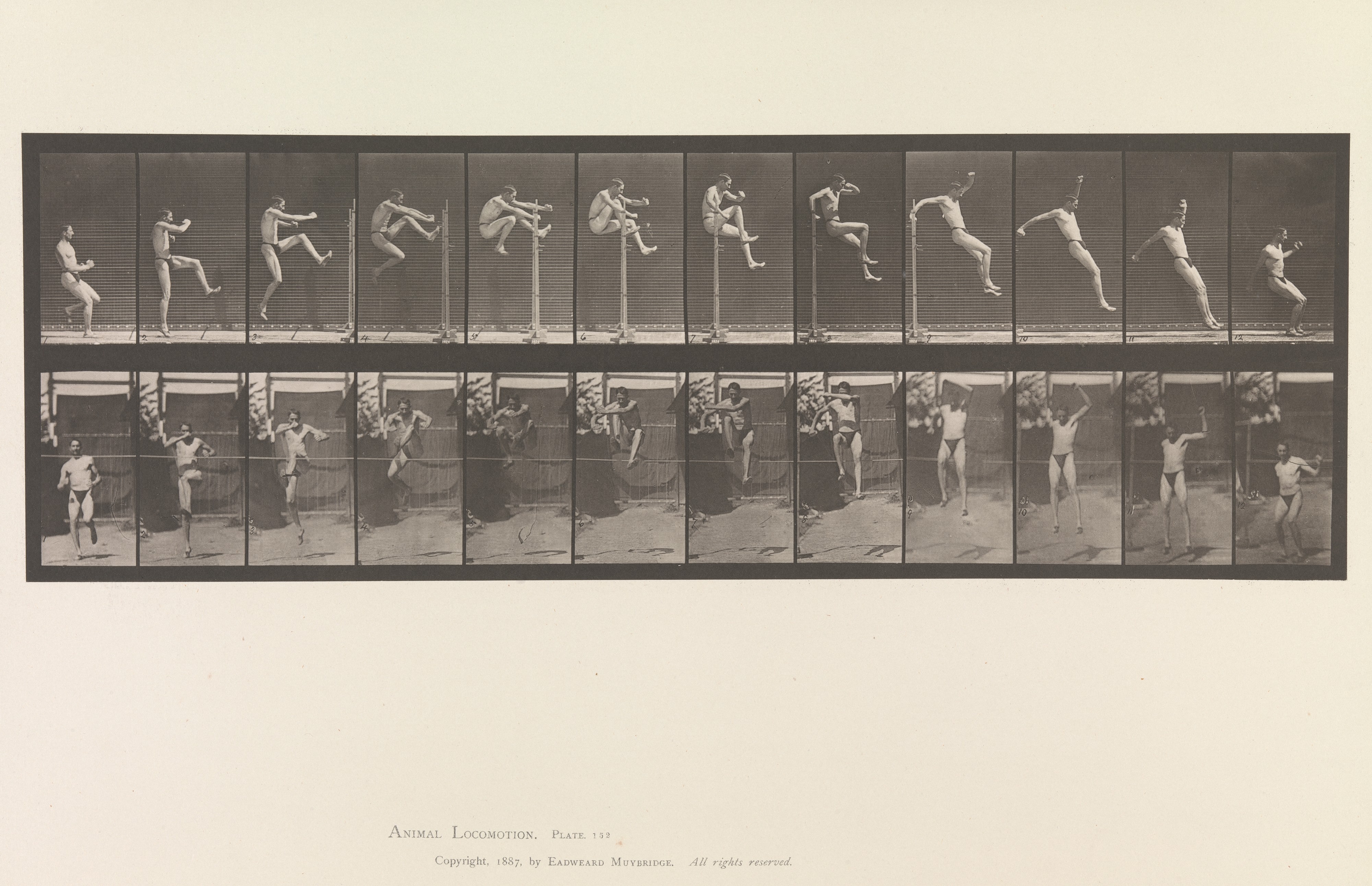 Animal Locomotion.  An Electro-Photographic Investigation of Consecutive Phases of Animal Movements.  Commenced 1872 - Completed 1885.  Volume V, Man (Pelvis Cloth)