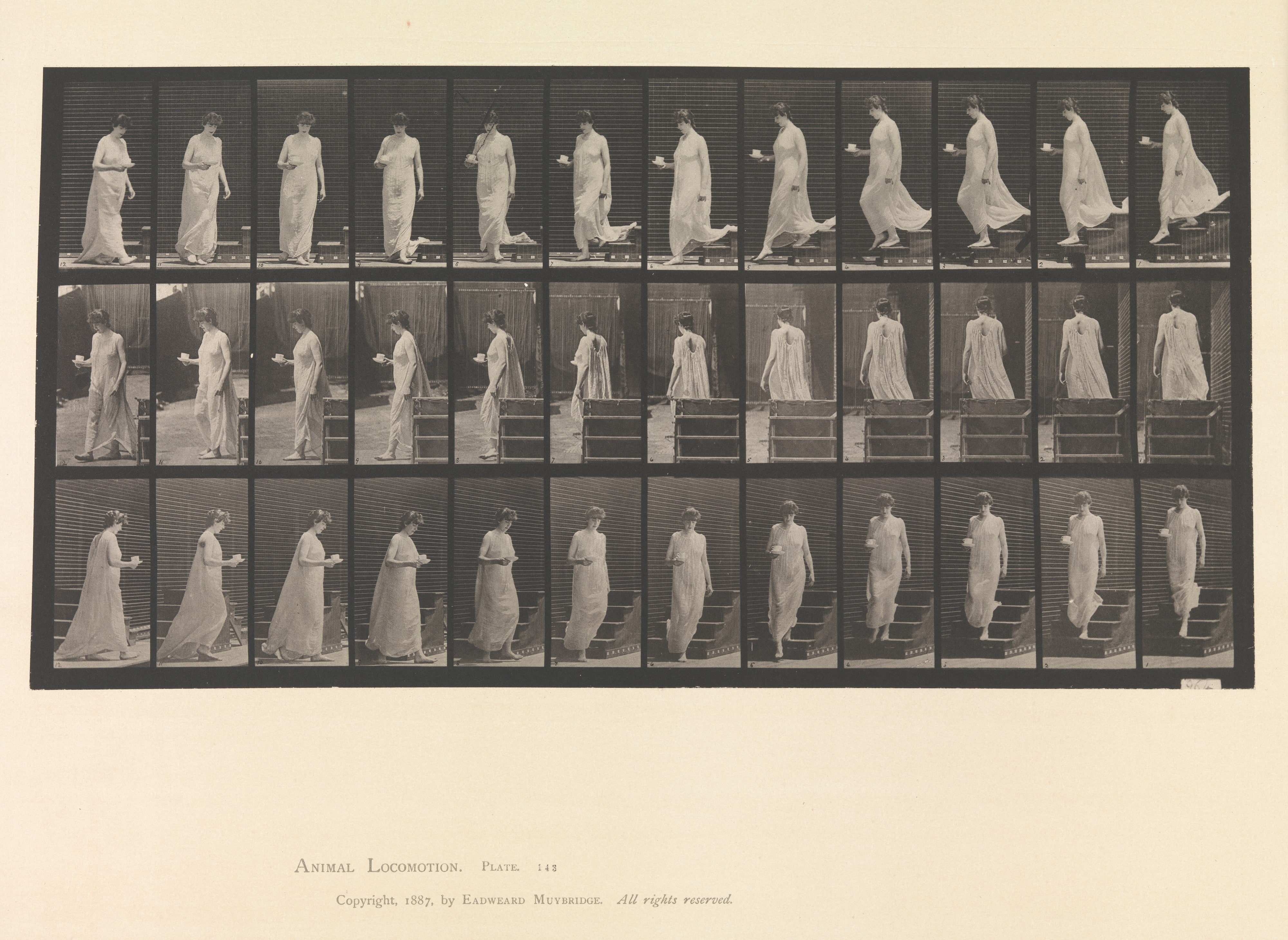 Animal Locomotion.  An Electro-Photographic Investigation... of Animal Movements.  Commenced 1872 - Completed 1885.  Volume VI, Woman (Semi-Nude and Transparent Drapery) Children