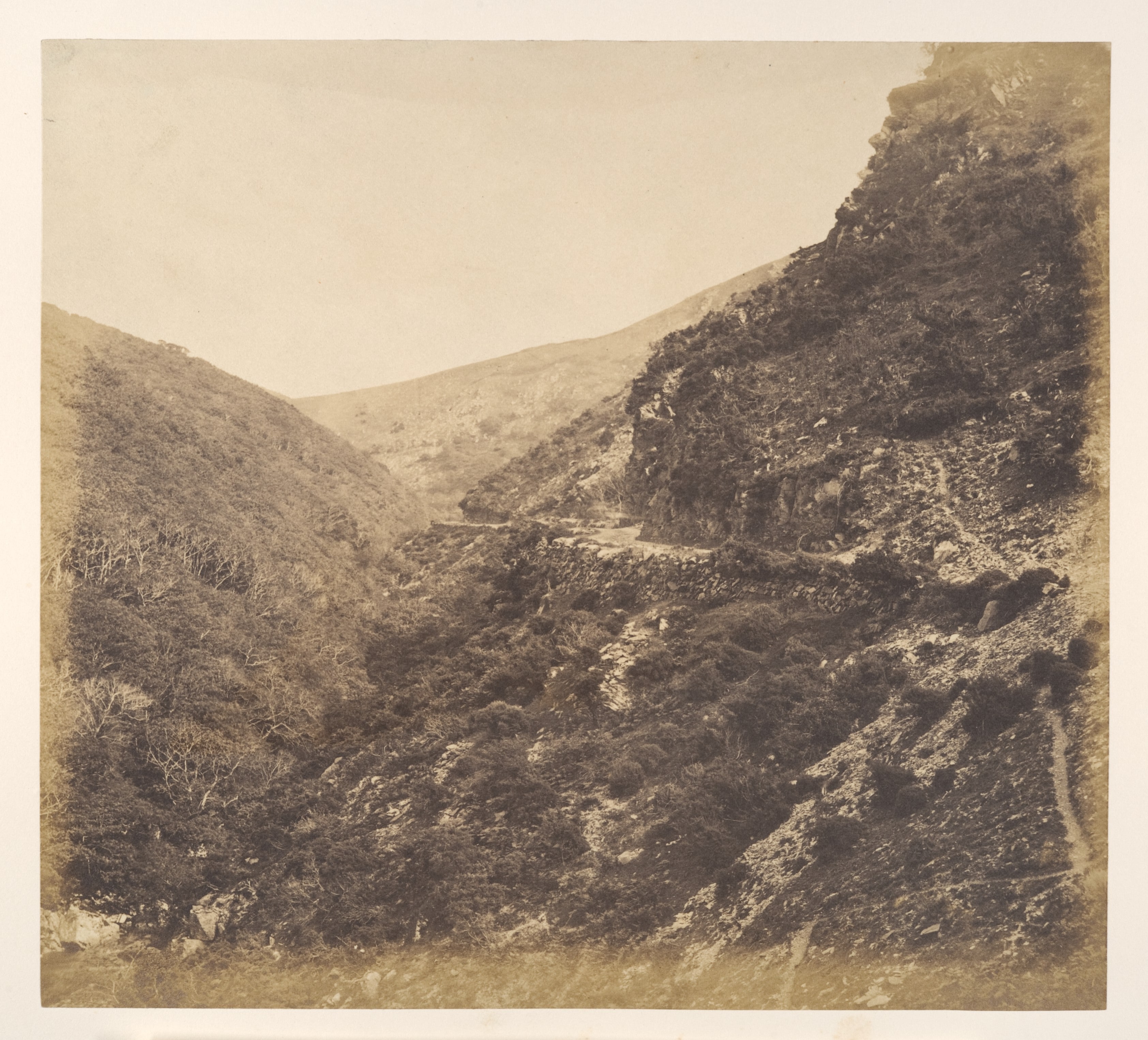 On the Road to Watersmeet, near Lynton, North Devon