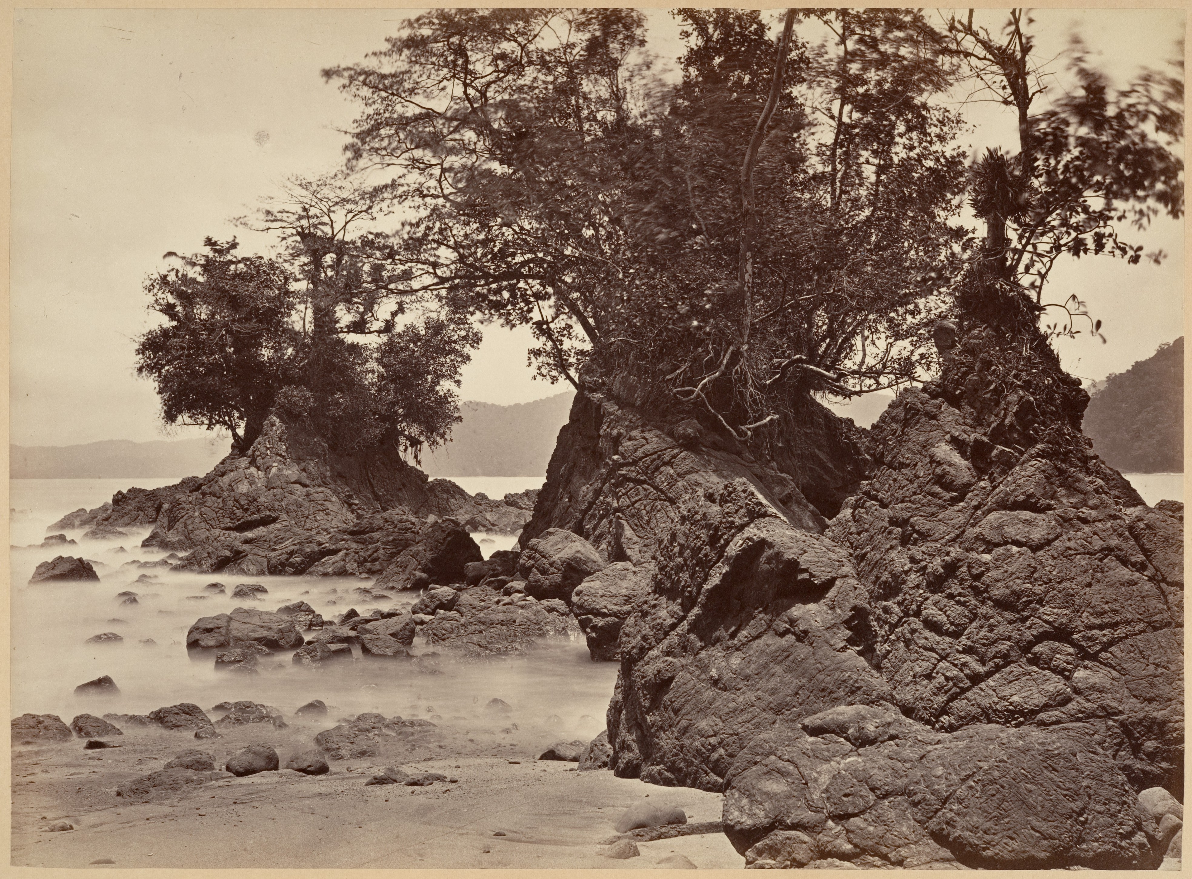 Tropical Scenery, Limon Bay - Low Tide