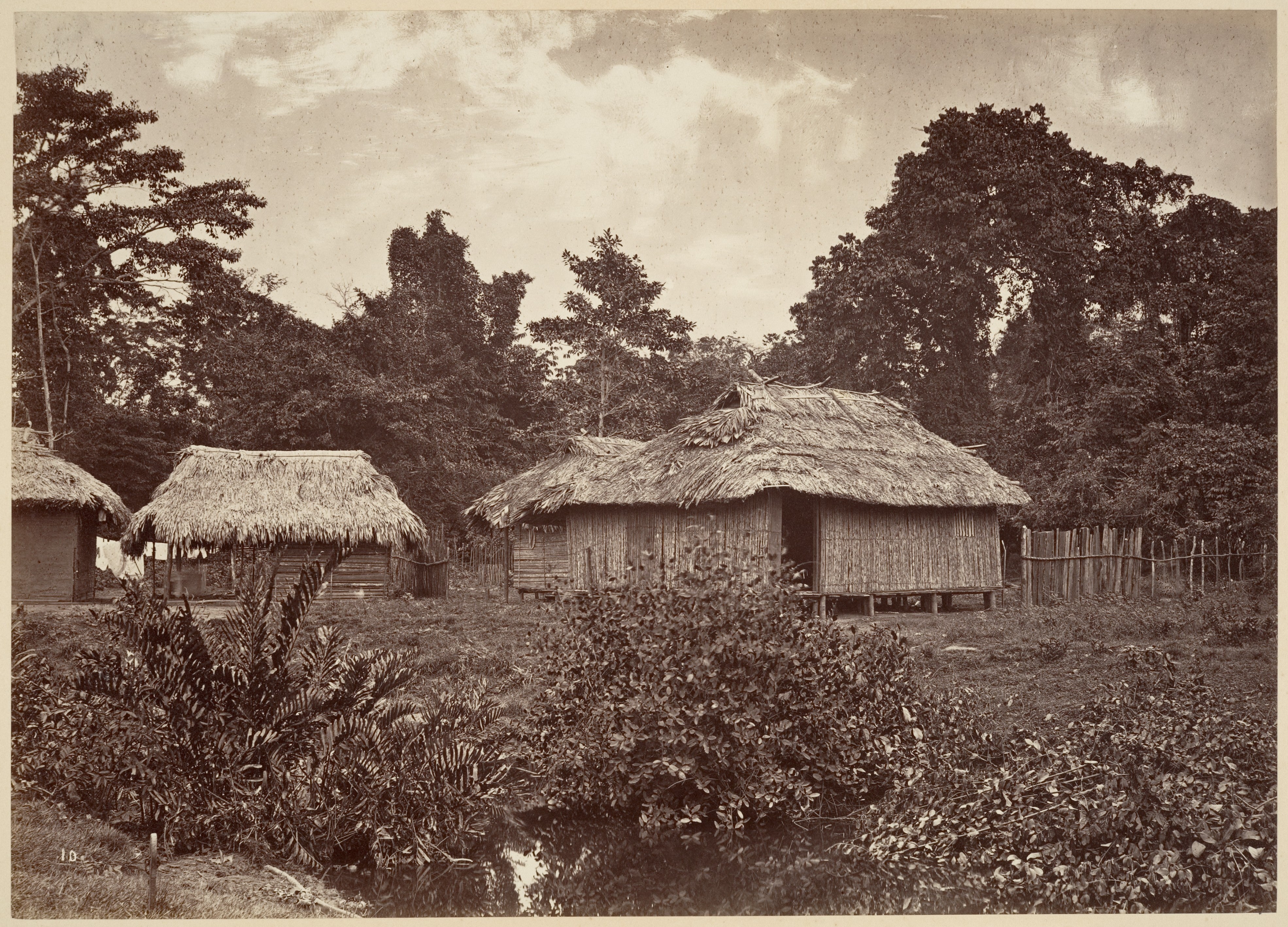 Tropical Scenery, Turbo Village