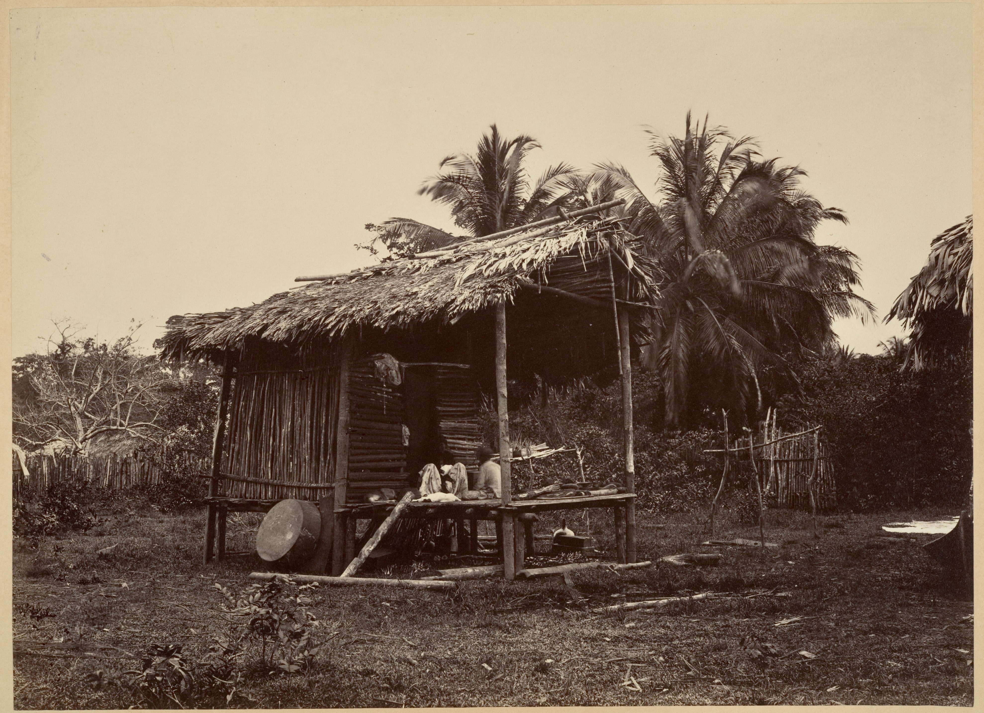 Tropical Scenery, Native Hut, Turbo