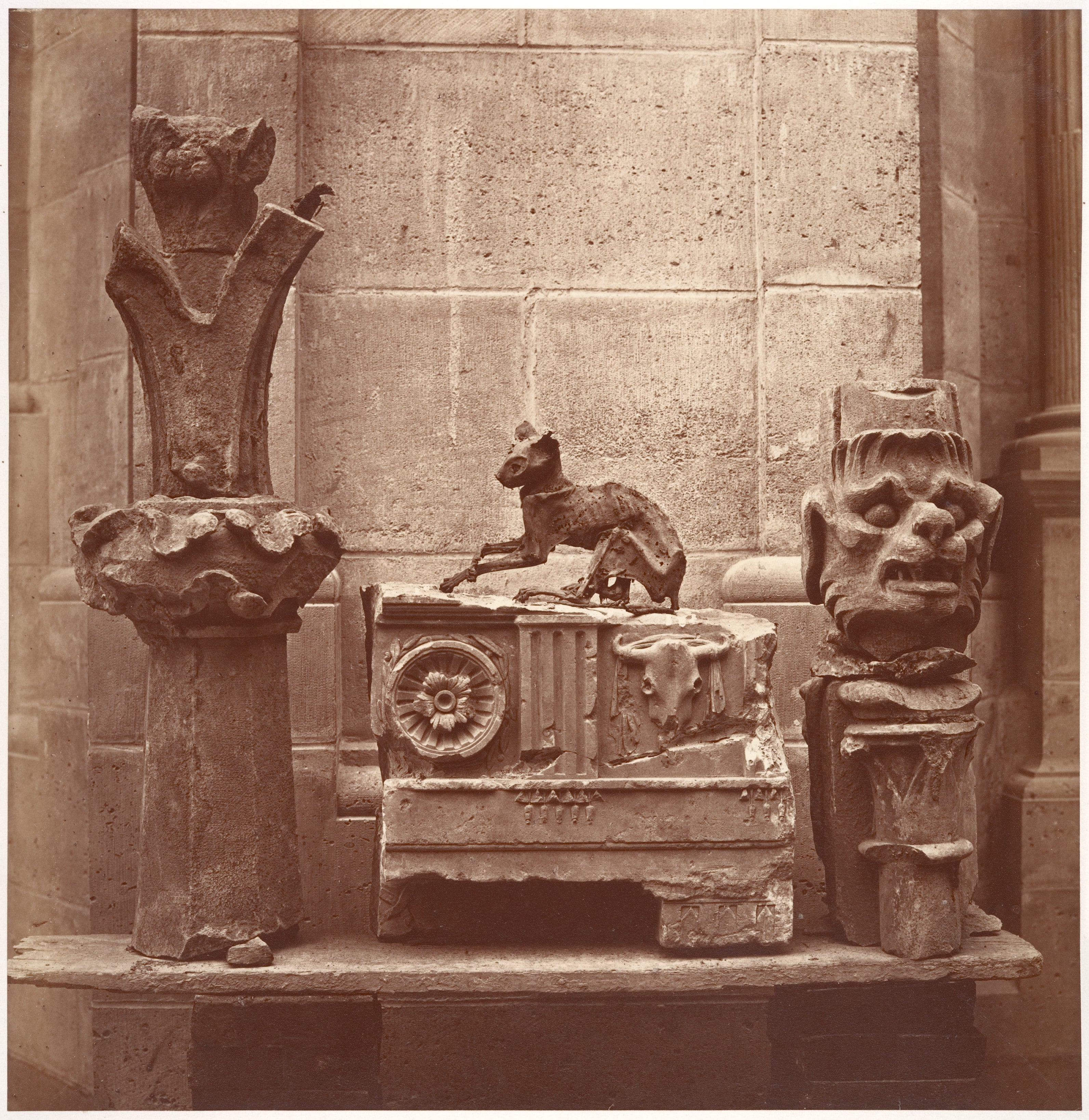 Le Chat Momifié (trouvé dans les fouilles de Saint-Germain-en-Laye)