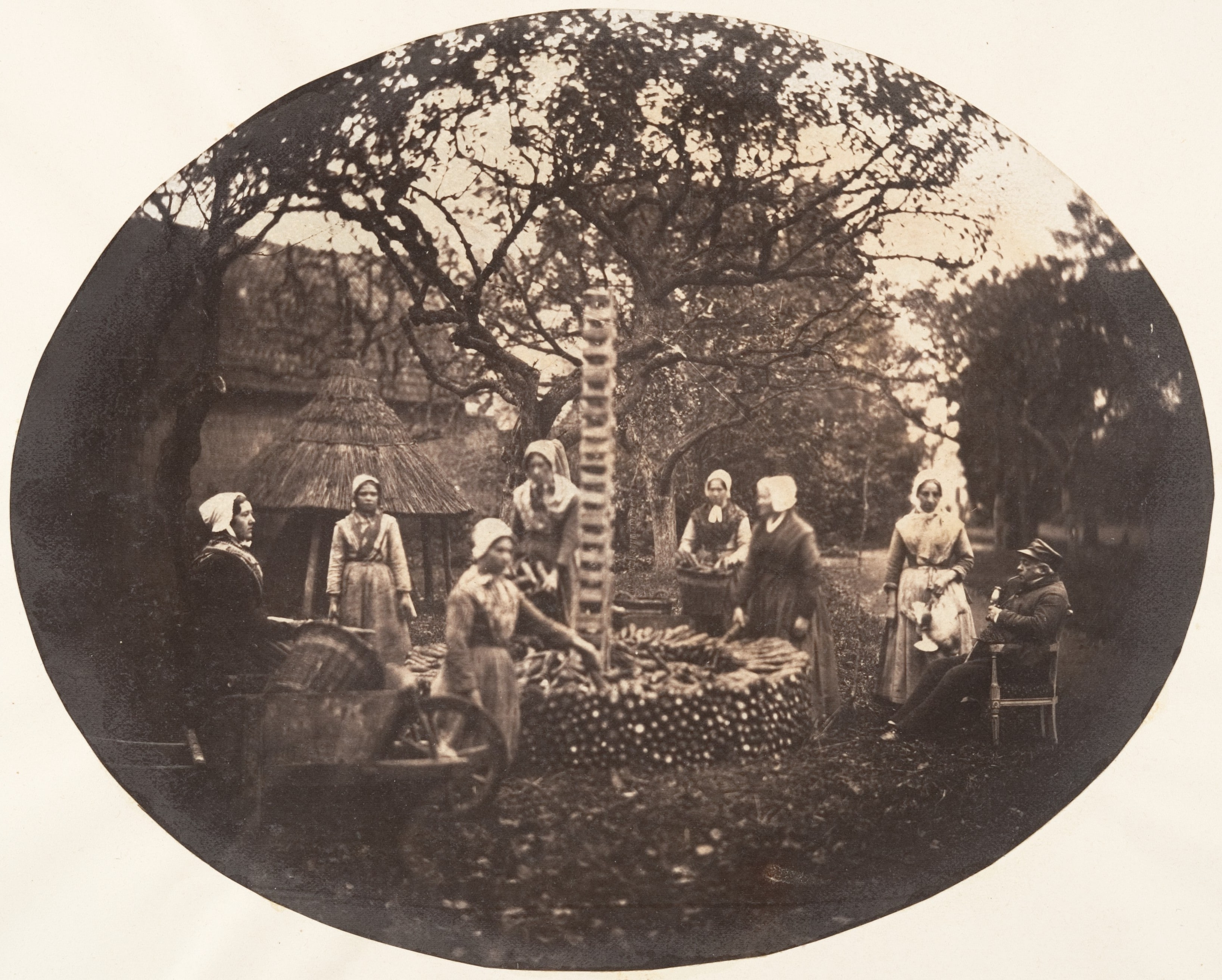 [Women Stacking Carrots]