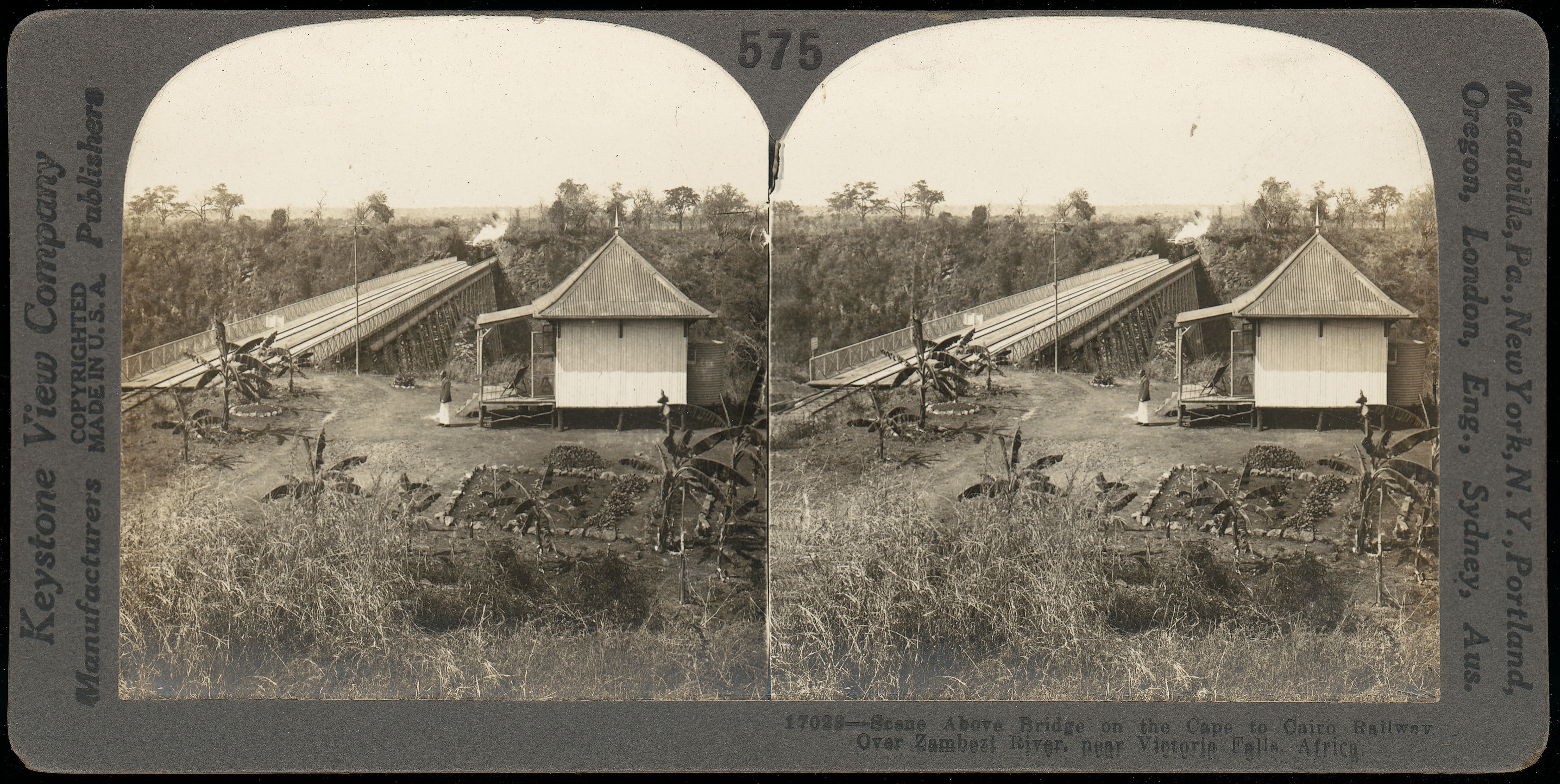 [Group of 14 stereographs of Africa and Actors]