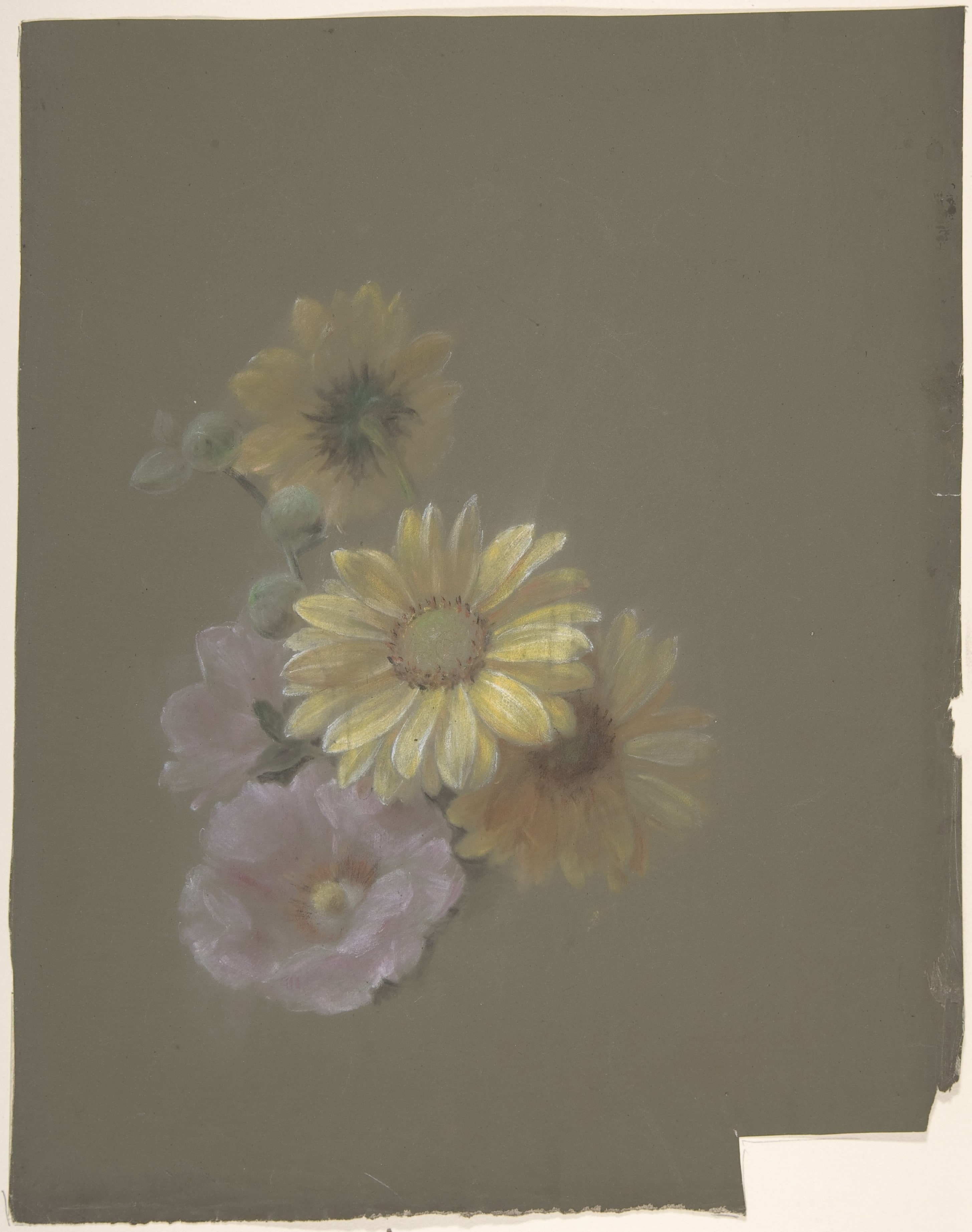 Yellow Daisies and Pink Wild Rose
