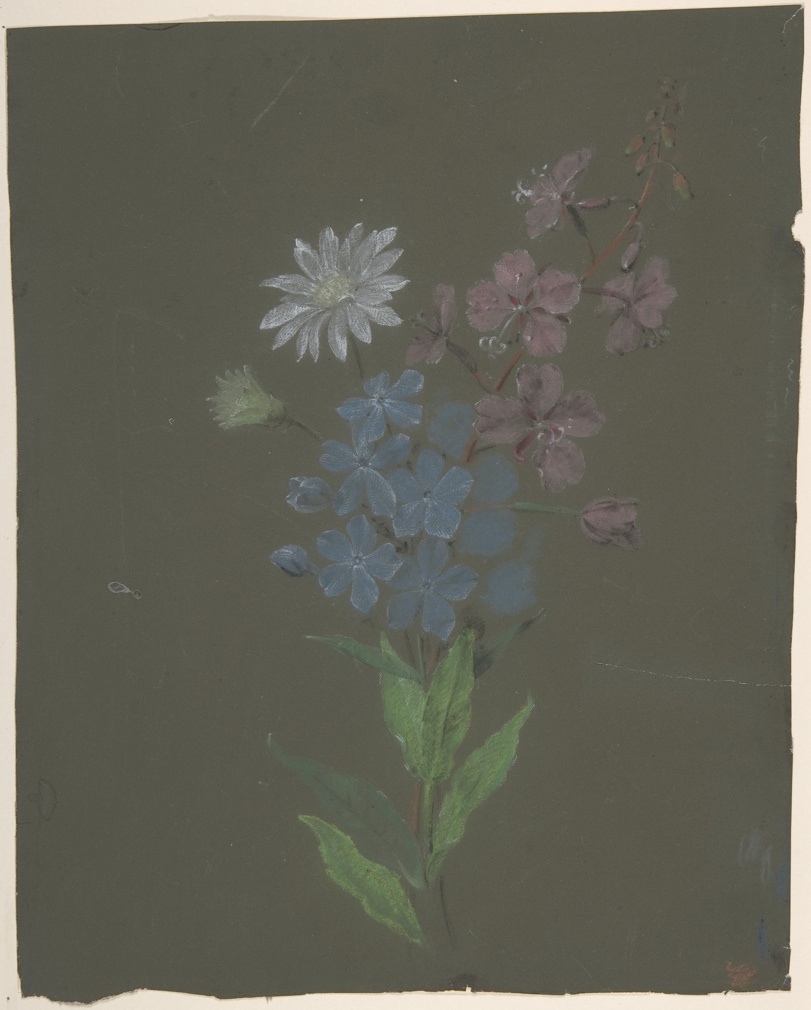 Floral Design